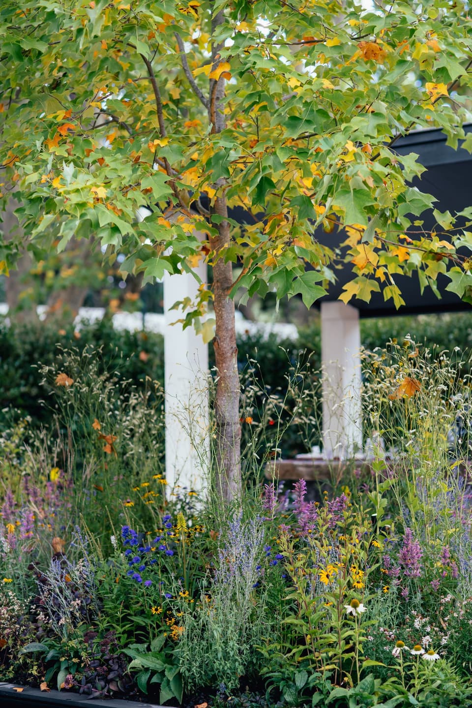 Garden Show 23 21