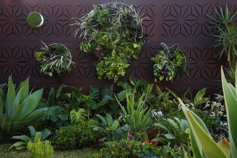 Garden Wall 1502
