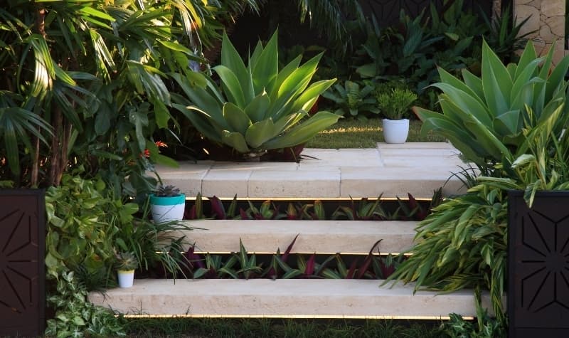 Planted Steps 1507