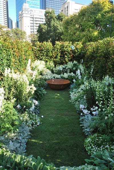 Oasis3 Jpg 1075