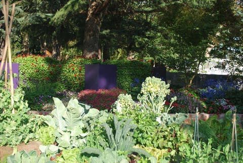 Oasis6 Jpg 1088