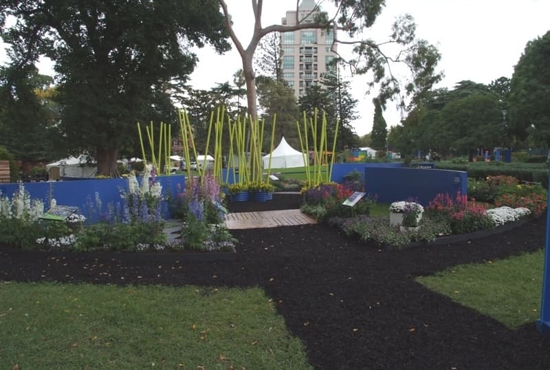 Oasis201205 1379