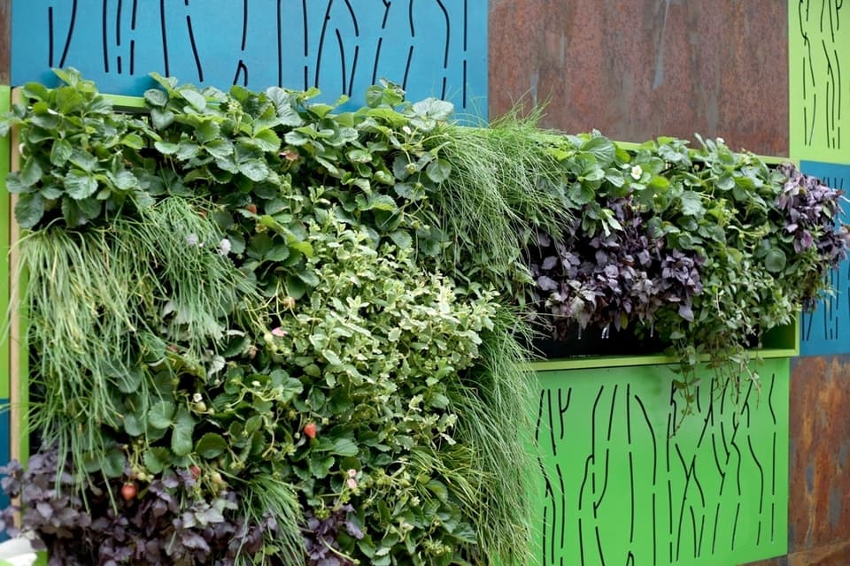 Food Forest Vertical Garden 1639