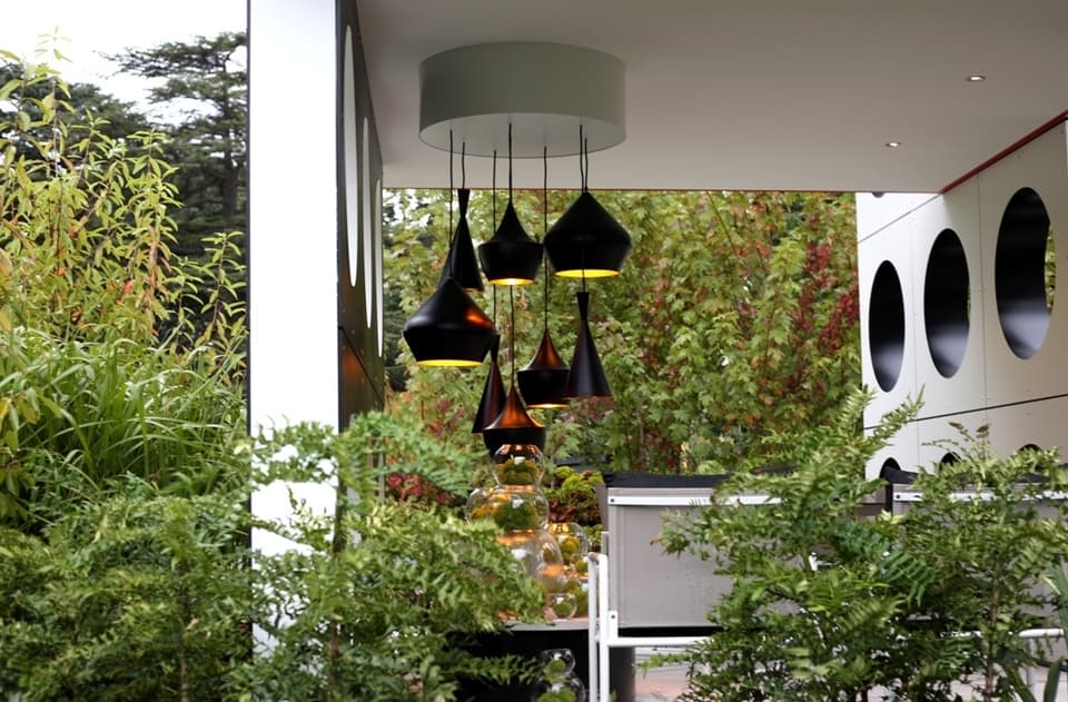 Outdoor Lighting 1655