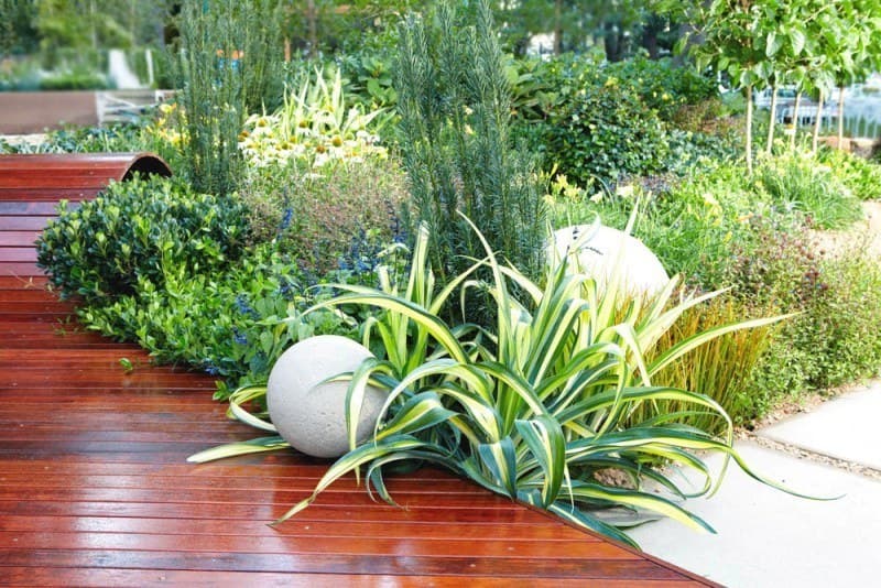 Plants Deck163 1412