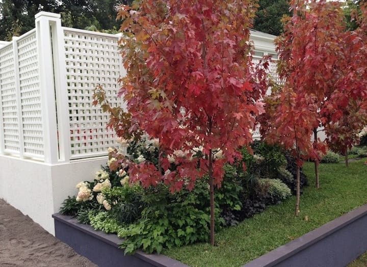 Photo 2 1542