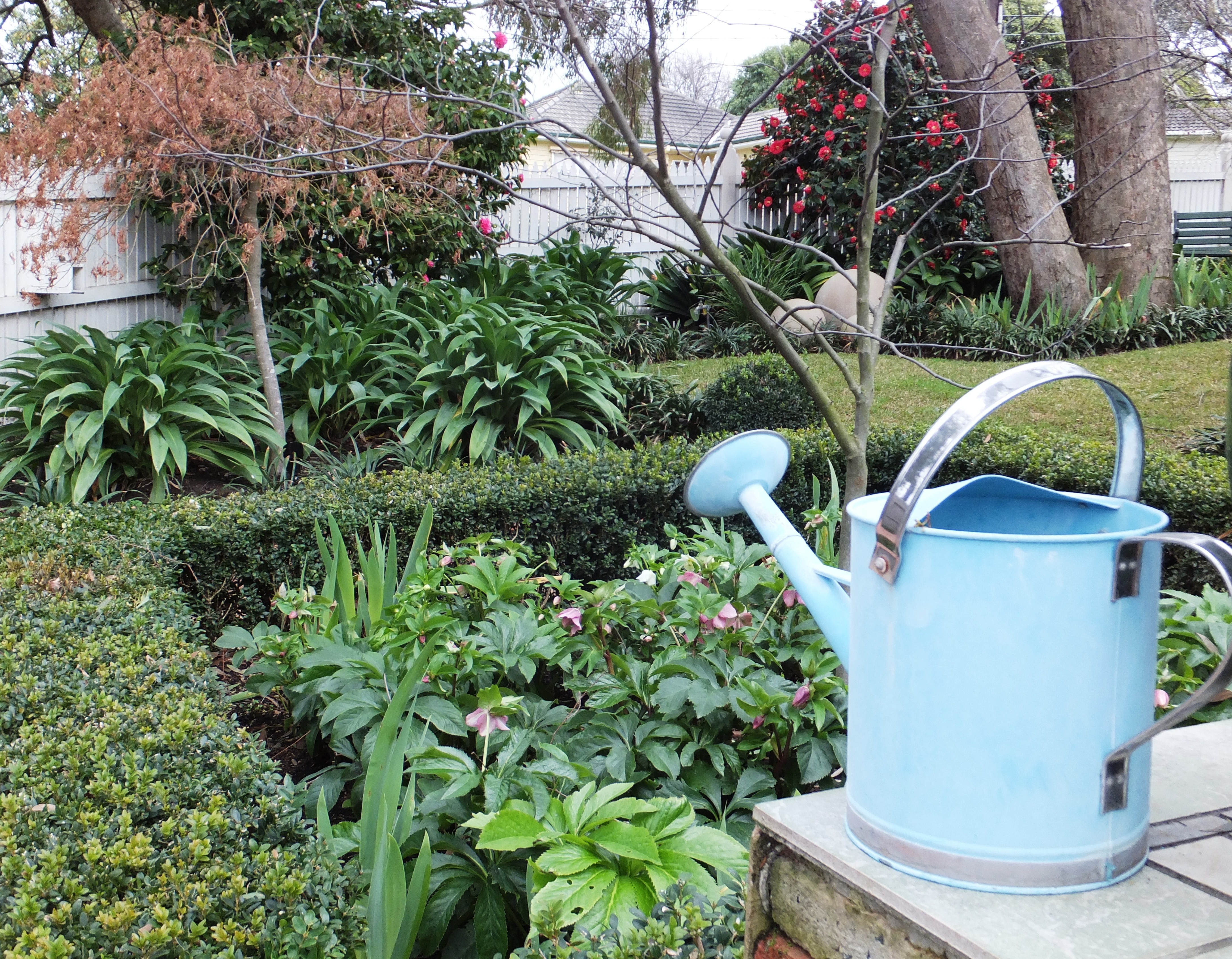 July-2016.jpg#asset:1881