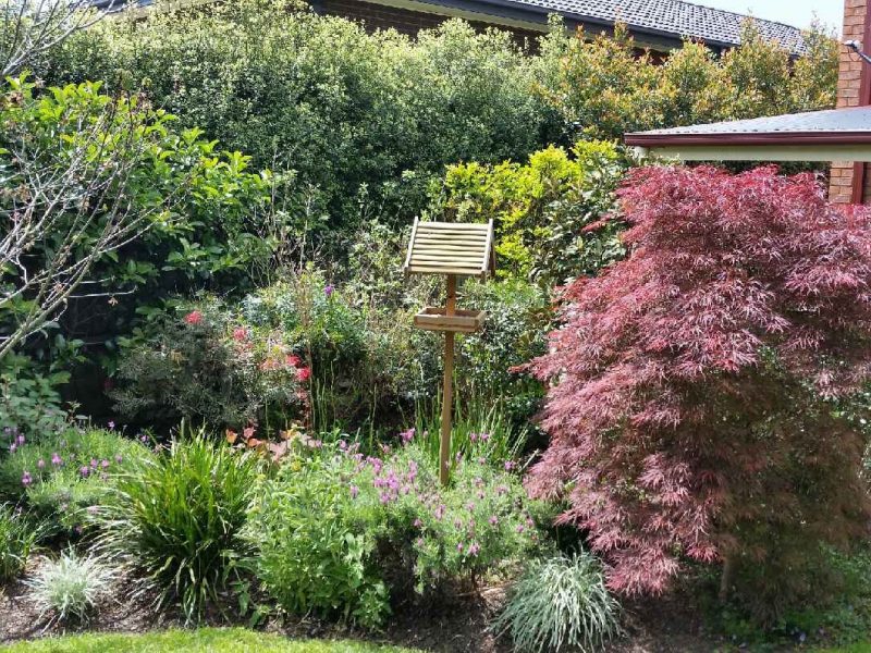 spring-time.jpg#asset:1915:large