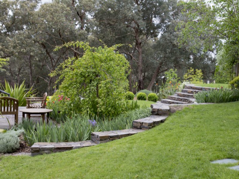 nov-16.jpg#asset:1918:large