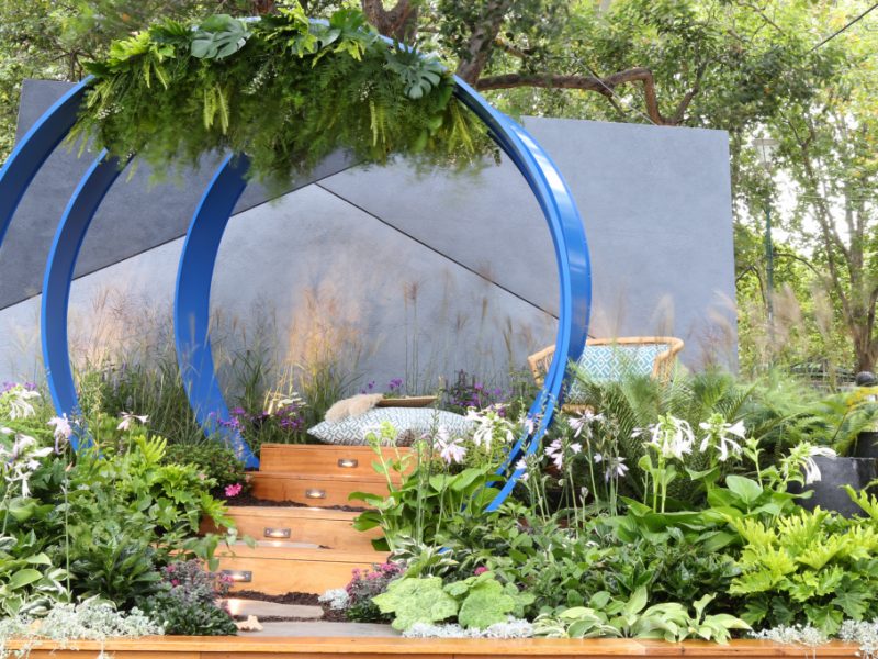 lorbe-du-plantes.jpg#asset:2038:large