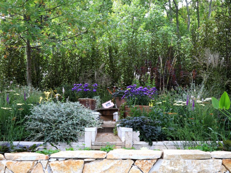 secretum-hortus.jpg#asset:2037:large