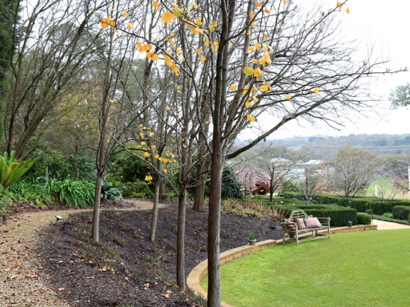 Winter garden Winter garden