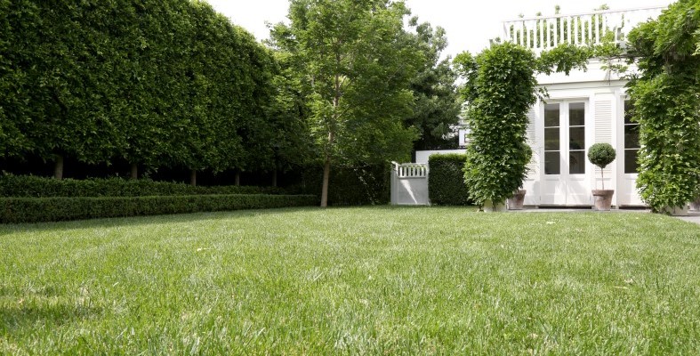 lawns.jpg#asset:1957