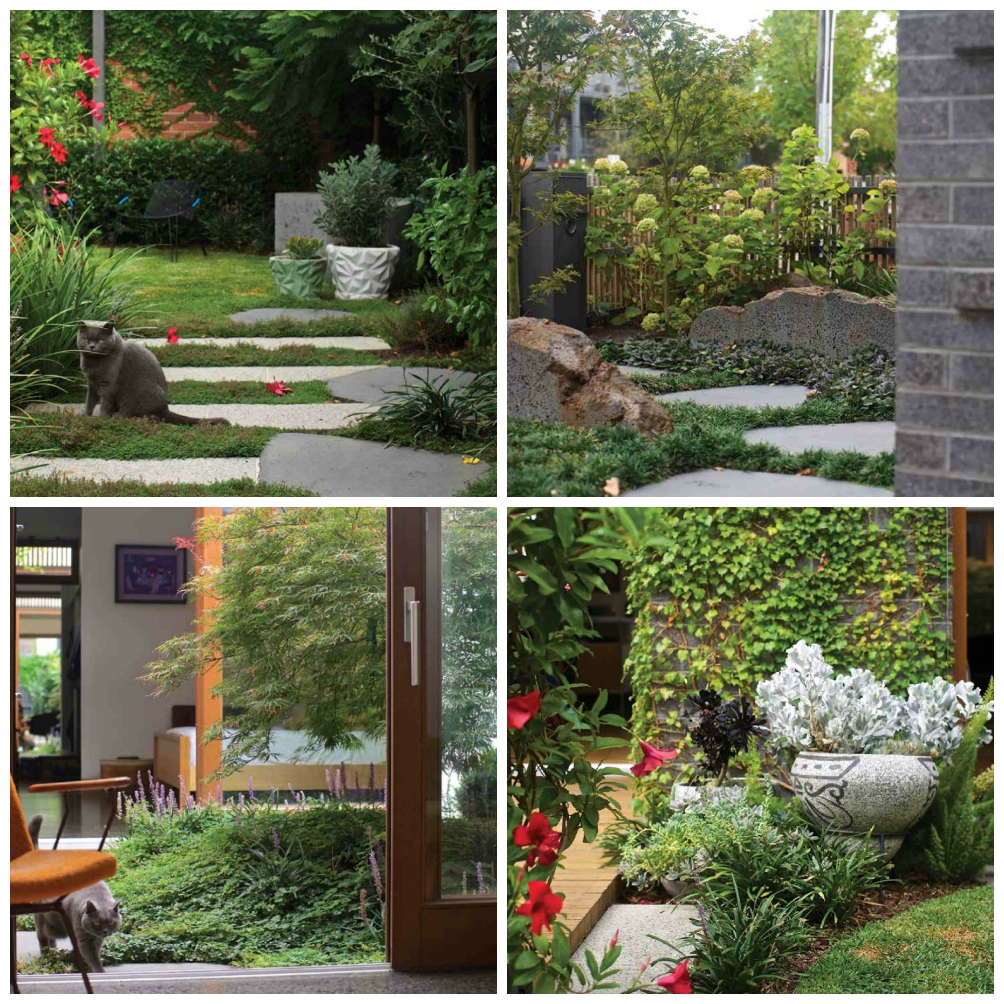 north-fitzroy-garden.jpg#asset:1879