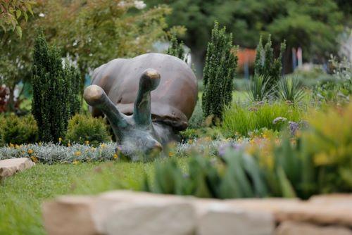 snail-500.jpg#asset:2108