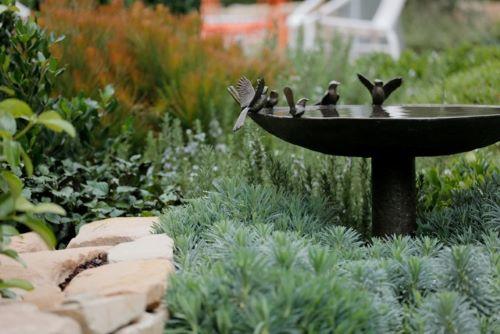 willie-bird-bath.jpg#asset:2114